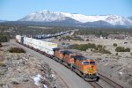 BNSF'S Seligman Sub